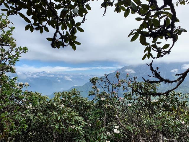 Jiuding Mountain, Maoxian County, Sichuan Province, China