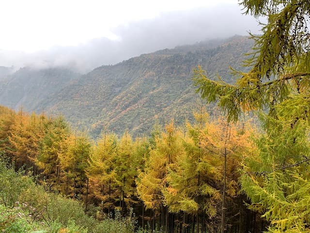 Songlin Bay, Wolong Natural Reserve, Sichuan Province, China