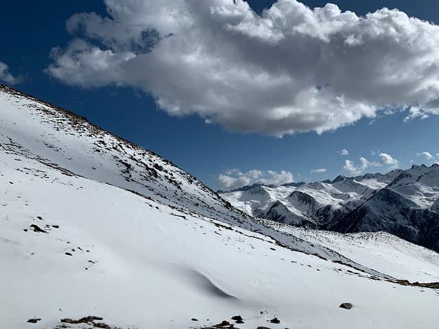 Balang Mountain, Wolong Natural Reserve, Sichuan Province, China 