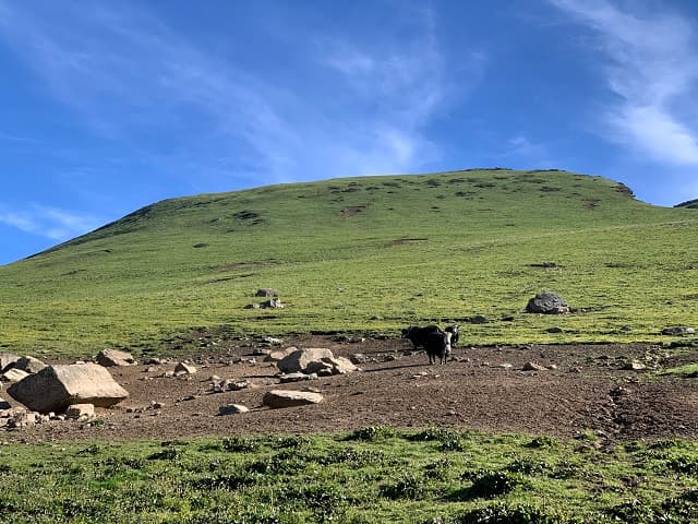 Jiuding Mountain, Maoxian County, Sichuan Province, China